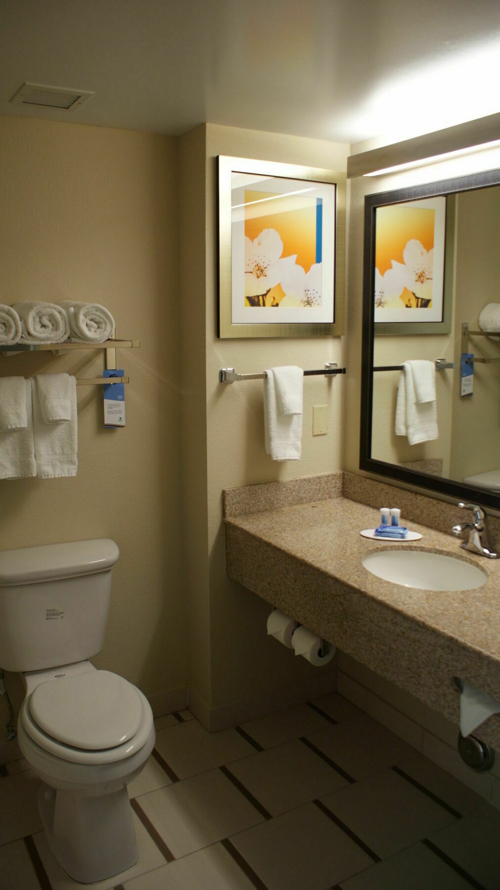 Fairfield Inn & Suites By Marriott Chesapeake Suffolk Esterno foto